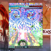 DoDonPachi Resurrection Steam Key GLOBAL DoDonPachi Resurrection Steam Key GLOBAL