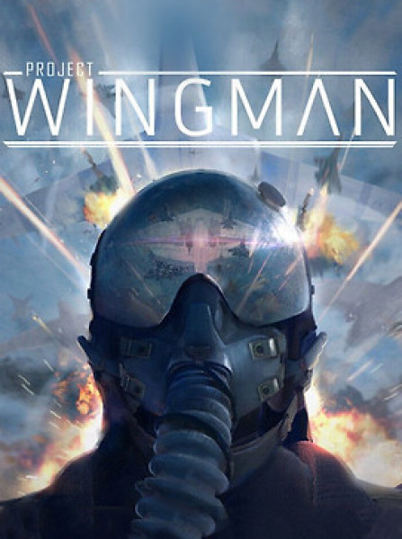 Project Wingman ( PC ) - Steam - Global Project Wingman ( PC ) - Steam - Global