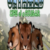 Untamed: Life Of A Cougar Steam Key GLOBAL Untamed: Life Of A Cougar Steam Key GLOBAL