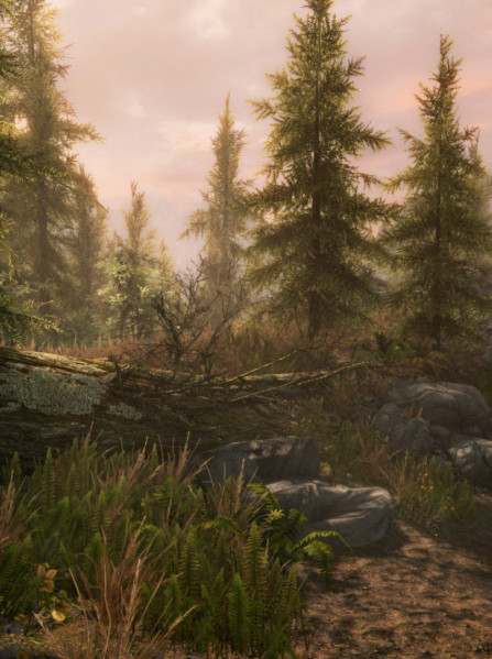 The Elder Scrolls V: Skyrim - Legendary Edition Steam Key EUROPE The Elder Scrolls V: Skyrim - Legendary Edition Steam Key EUROPE