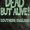 Dead But Alive! Southern England Steam Key GLOBAL Dead But Alive! Southern England Steam Key GLOBAL