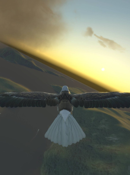 Aquila Bird Flight Simulator Steam Key GLOBAL Aquila Bird Flight Simulator Steam Key GLOBAL