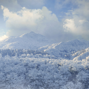 theHunter: Call of the Wild - Medved-Taiga Key Steam GLOBAL