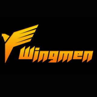 WingMen Steam Key GLOBAL