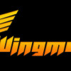 WingMen Steam Key GLOBAL WingMen Steam Key GLOBAL