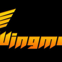 WingMen Steam Key GLOBAL