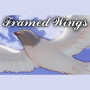 Framed Wings Steam Key GLOBAL