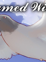 Framed Wings Steam Key GLOBAL