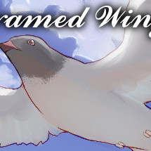 Framed Wings Steam Key GLOBAL