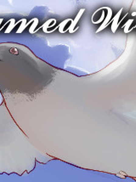 Framed Wings Steam Key GLOBAL Framed Wings Steam Key GLOBAL