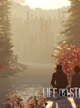 Life is Strange 2 - Episodes 2-5 bundle Steam Key GLOBAL