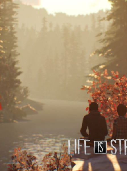 Life is Strange 2 - Episodes 2-5 bundle Steam Key GLOBAL Life is Strange 2 - Episodes 2-5 bundle Steam Key GLOBAL