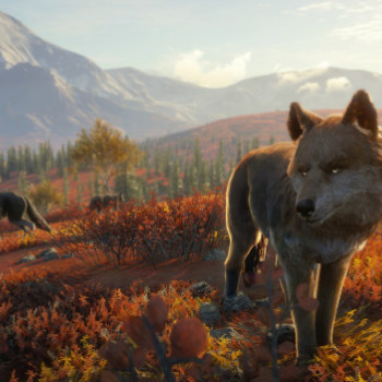 theHunter: Call of the Wild - Yukon Valley (PC) - Steam Key - GLOBAL