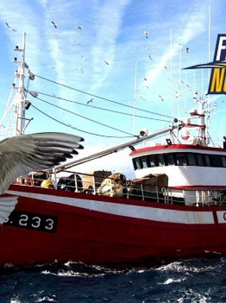 Fishing: North Atlantic (PC) - Steam Key - GLOBAL Fishing: North Atlantic (PC) - Steam Key - GLOBAL