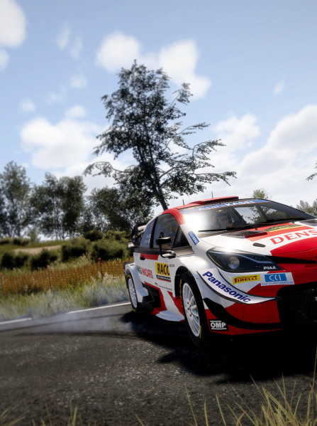 WRC 10 FIA World Rally Championship | Deluxe Edition (PC) - Steam Key - GLOBAL