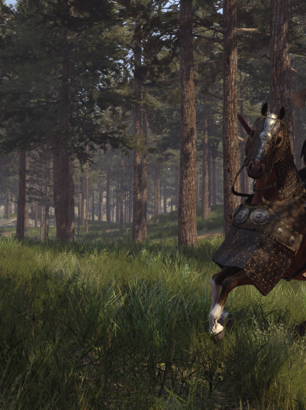 Mount & Blade II: Bannerlord (PC) - Steam Key - UNITED STATES Mount & Blade II: Bannerlord (PC) - Steam Key - UNITED STATES