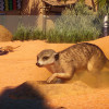 Planet Zoo: Africa Pack (PC) - Steam Key - GLOBAL Planet Zoo: Africa Pack (PC) - Steam Key - GLOBAL
