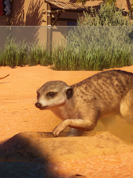 Planet Zoo: Africa Pack (PC) - Steam Key - GLOBAL Planet Zoo: Africa Pack (PC) - Steam Key - GLOBAL