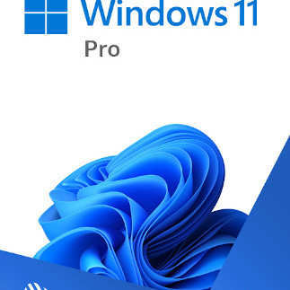 Microsoft Windows 11 Pro (PC) - Microsoft Key - GLOBAL