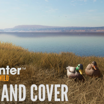 theHunter: Call of the Wild - Duck and Cover Pack (PC) - Steam Key - GLOBAL