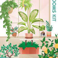 The Sims 4 Blooming Rooms Kit Origin Global