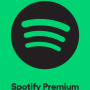 Spotify Premium Subscription Card 3 Months - Spotify Key - MEXICO