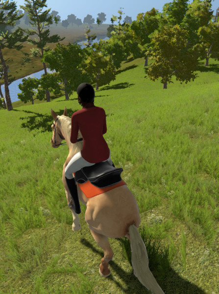 My Little Riding Champion Xbox Live Key EUROPE My Little Riding Champion Xbox Live Key EUROPE