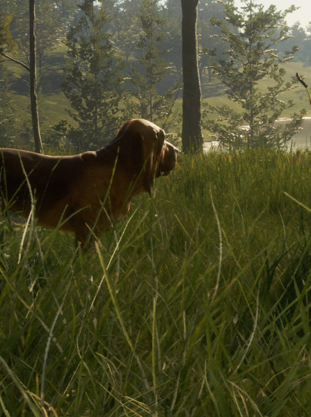 theHunter: Call of the Wild - Bloodhound (PC) - Steam Key - GLOBAL theHunter: Call of the Wild - Bloodhound (PC) - Steam Key - GLOBAL