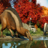 Jurassic World Evolution 2: Feathered Species Pack (PC) - Steam Key - GLOBAL Jurassic World Evolution 2: Feathered Species Pack (PC) - Steam Key - GLOBAL
