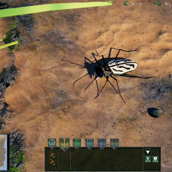 Empires of the Undergrowth Steam Key GLOBAL