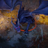 Pathfinder: Wrath of the Righteous – The Treasure of the Midnight Isles (PC) - Steam Key - GLOBAL Pathfinder: Wrath of the Righteous – The Treasure of the Midnight Isles (PC) - Steam Key - GLOBAL