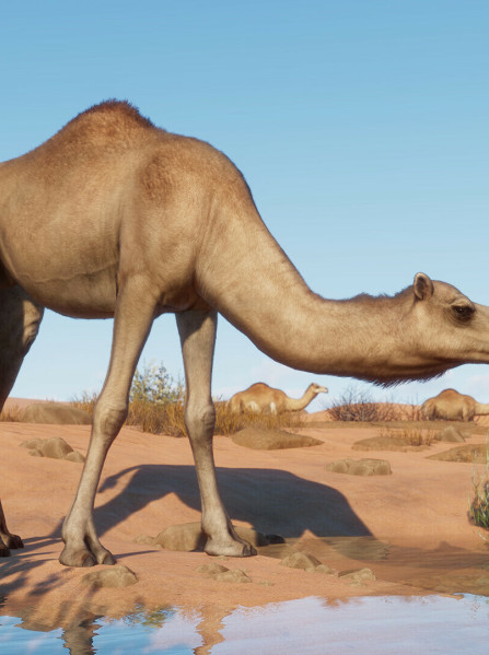 Planet Zoo: Arid Animal Pack (PC) - Steam Key - GLOBAL Planet Zoo: Arid Animal Pack (PC) - Steam Key - GLOBAL