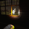 Suffer The Night (PC) - Steam Key - GLOBAL Suffer The Night (PC) - Steam Key - GLOBAL