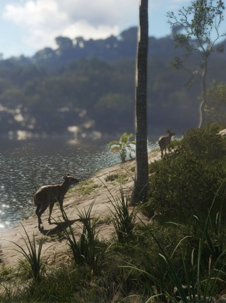 theHunter: Call of the Wild - Emerald Coast Australia (PC) - Steam Key - GLOBAL