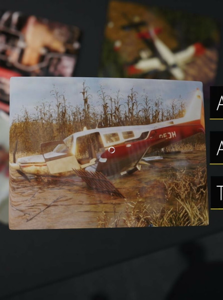 Plane Accident (PC) - Steam Key - GLOBAL