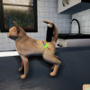 Animal Shelter Simulator: Puppies & Kittens (PC) - Steam Key - GLOBAL Animal Shelter Simulator: Puppies & Kittens (PC) - Steam Key - GLOBAL