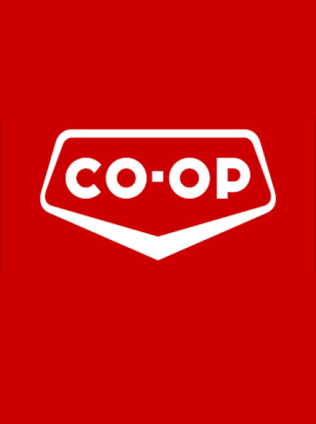 Coop Gift Card 100 CHF - Coop Key - SWITZERLAND