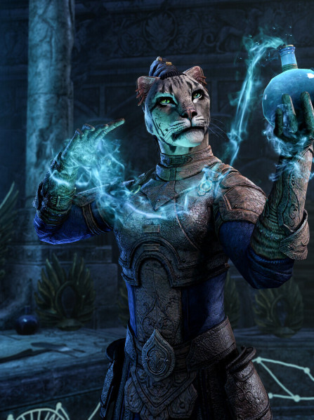 The Elder Scrolls Online Upgrade: Gold Road (PC) - Steam Key - GLOBAL