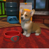Little Friends: Puppy Island (PC) - Steam Key - GLOBAL Little Friends: Puppy Island (PC) - Steam Key - GLOBAL