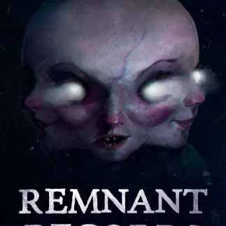 Remnant Records (PC) - Steam Key - EUROPE