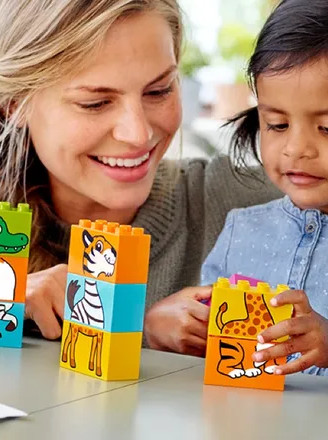 LEGO E-Gift Card 25 EUR - LEGO Shop Key - FRANCE