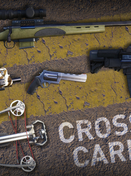 Sniper Ghost Warrior Contracts 2 - Crossbow Carnage Weapons Pack (PC) - Steam Key - GLOBAL