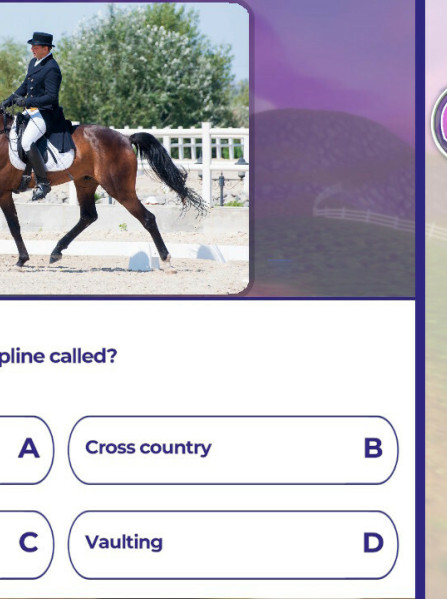 Equestrian Training (PC) - Steam Key - GLOBAL