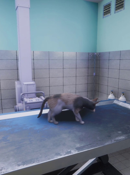 Animal Shelter: Vet Clinic (PC) - Steam Key - GLOBAL