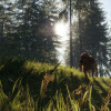 theHunter: Call of the Wild - Bloodhound (PC) - Steam Key - EUROPE