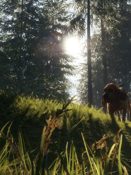 theHunter: Call of the Wild - Bloodhound (PC) - Steam Key - EUROPE