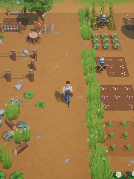 Coral Island (PC) - Steam Key - EUROPE