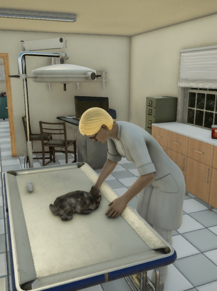 Animal Doctor (PC) - Steam Key - EUROPE