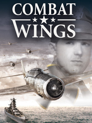 Combat Wings (PC) - Steam Key - GLOBAL