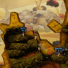 Worms Revolution - Customization Pack Steam Key GLOBAL Worms Revolution - Customization Pack Steam Key GLOBAL